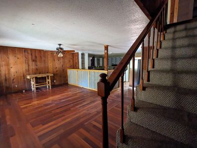 PXL_20241122_194552826-EDIT