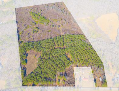 487388533_1237170794664881_6101931203864401859_n