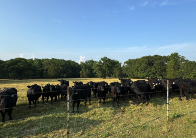 Screenshot 2025-05-12 at 4.40.44 PM