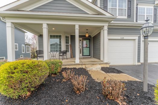 2419Friesian-2115-HDR