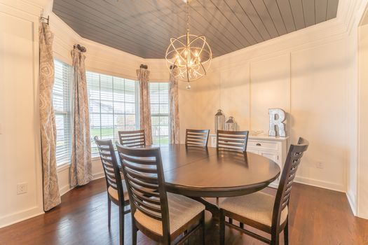 2419Friesian-2160-HDR