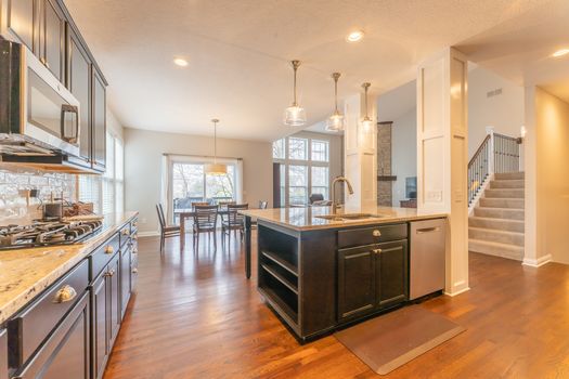 2419Friesian-2178-HDR