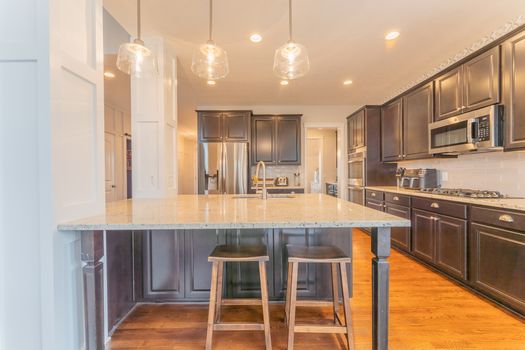 2419Friesian-2184-HDR