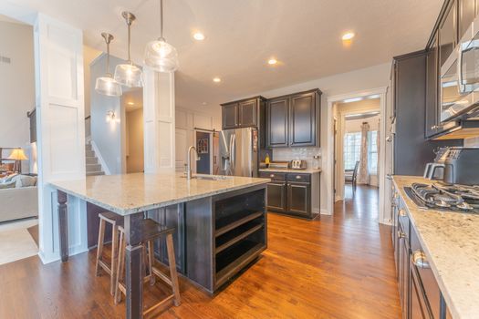 2419Friesian-2187-HDR