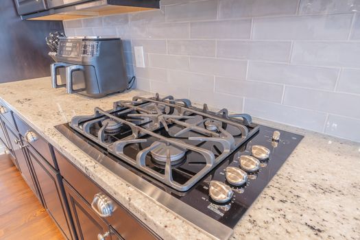 2419Friesian-2196-HDR