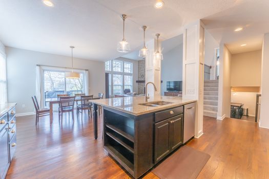 2419Friesian-2199-HDR