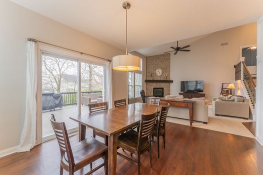 2419Friesian-2202-HDR