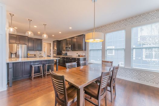 2419Friesian-2208-HDR