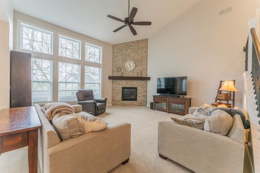 2419Friesian-2214-HDR