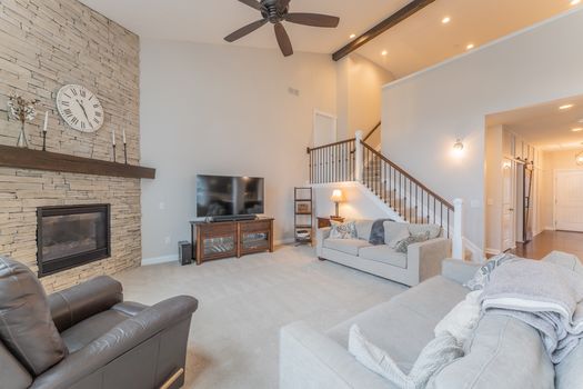 2419Friesian-2217-HDR