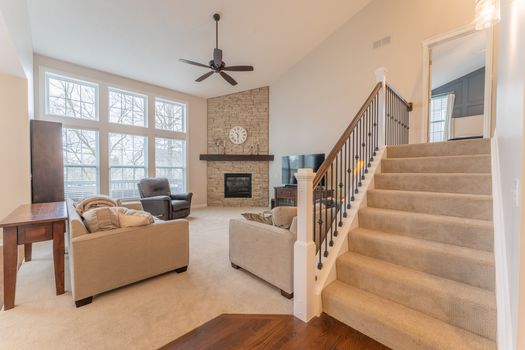 2419Friesian-2235-HDR