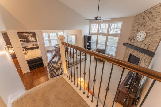 2419Friesian-2238-HDR