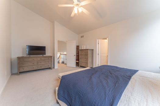 2419Friesian-2247-HDR