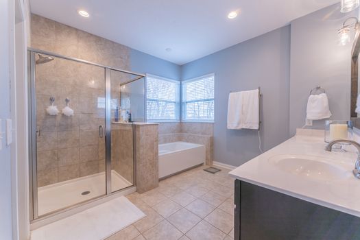 2419Friesian-2253-HDR