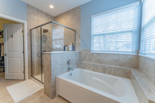 2419Friesian-2262-HDR