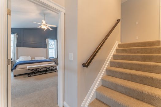 2419Friesian-2265-HDR