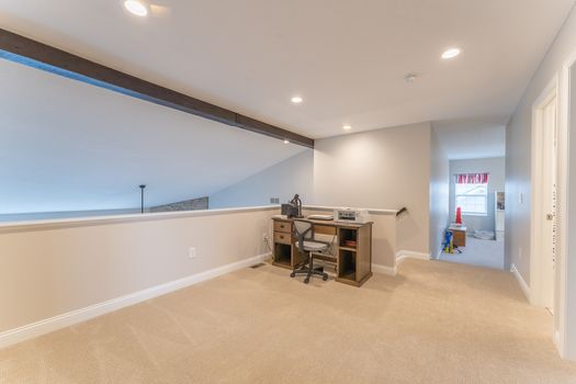 2419Friesian-2268-HDR