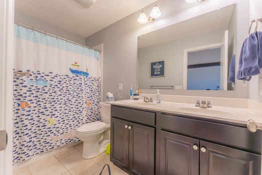 2419Friesian-2280-HDR