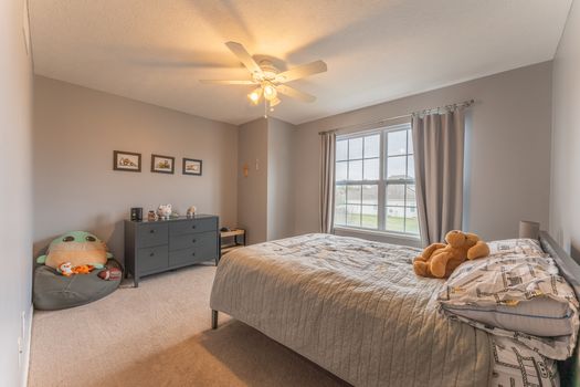 2419Friesian-2283-HDR