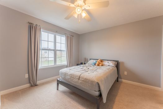 2419Friesian-2286-HDR