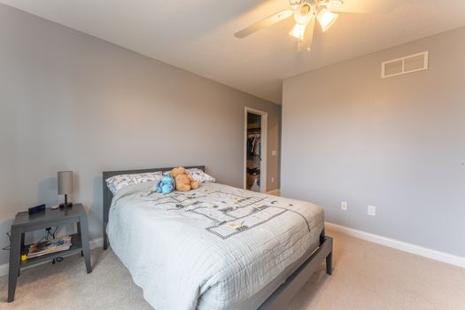 2419Friesian-2289-HDR