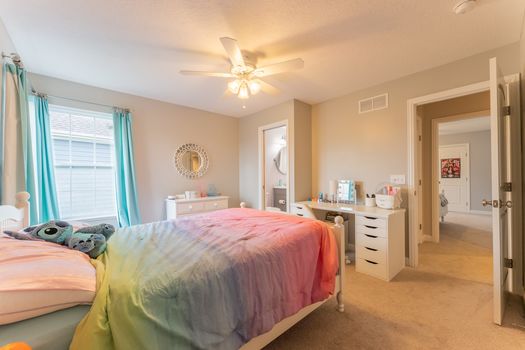 2419Friesian-2294-HDR