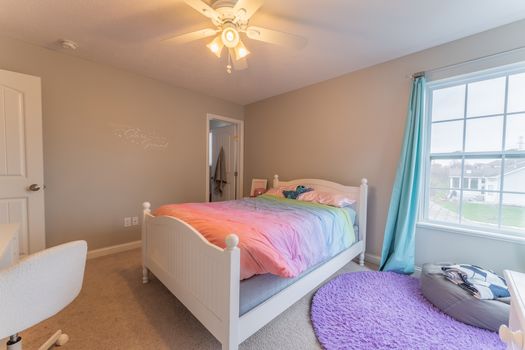 2419Friesian-2298-HDR