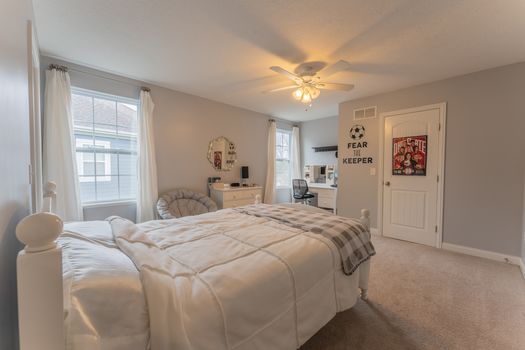 2419Friesian-2304-HDR