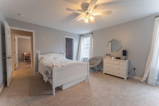 2419Friesian-2307-HDR