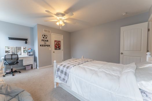 2419Friesian-2313-HDR