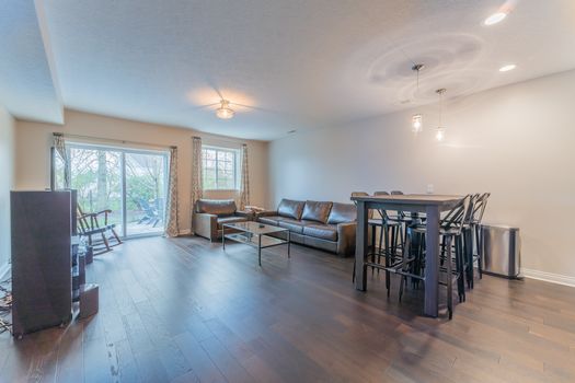 2419Friesian-2331-HDR