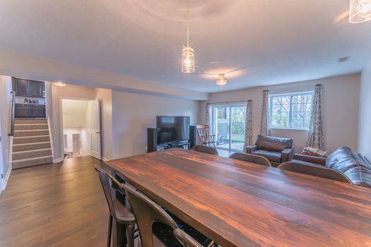 2419Friesian-2334-HDR