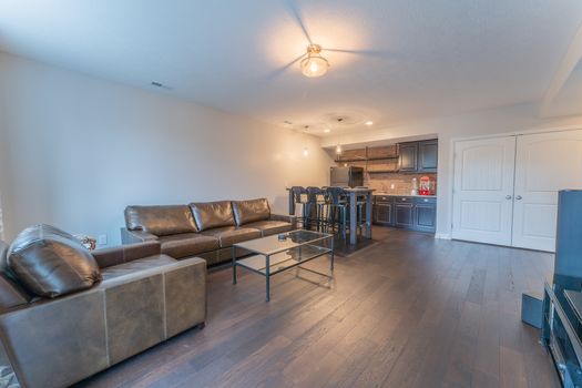 2419Friesian-2337-HDR