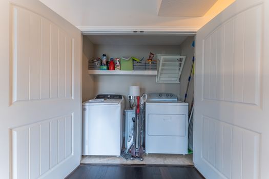 2419Friesian-2340-HDR