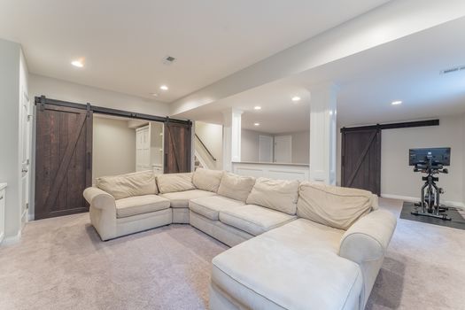 2419Friesian-2349-HDR