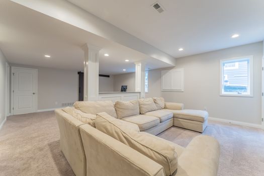 2419Friesian-2352-HDR