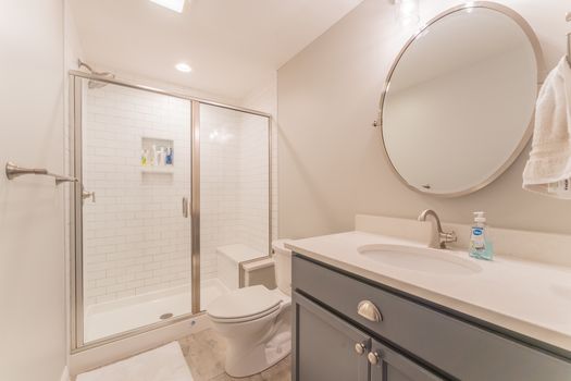 2419Friesian-2361-HDR