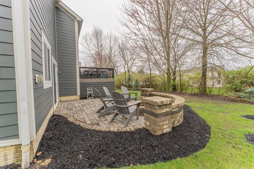 2419Friesian-2362-HDR