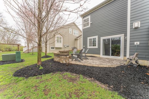 2419Friesian-2363-HDR