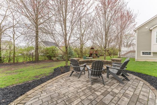 2419Friesian-2364-HDR