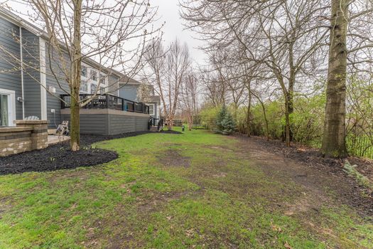 2419Friesian-2368-HDR