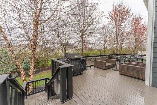 2419Friesian-2370-HDR