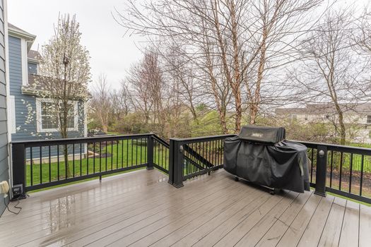 2419Friesian-2372-HDR