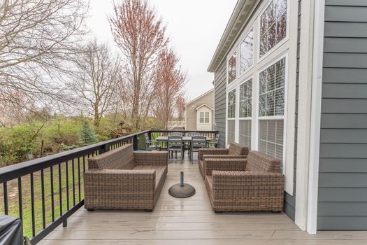 2419Friesian-2374-HDR