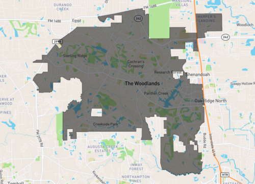 the woodlands.png
