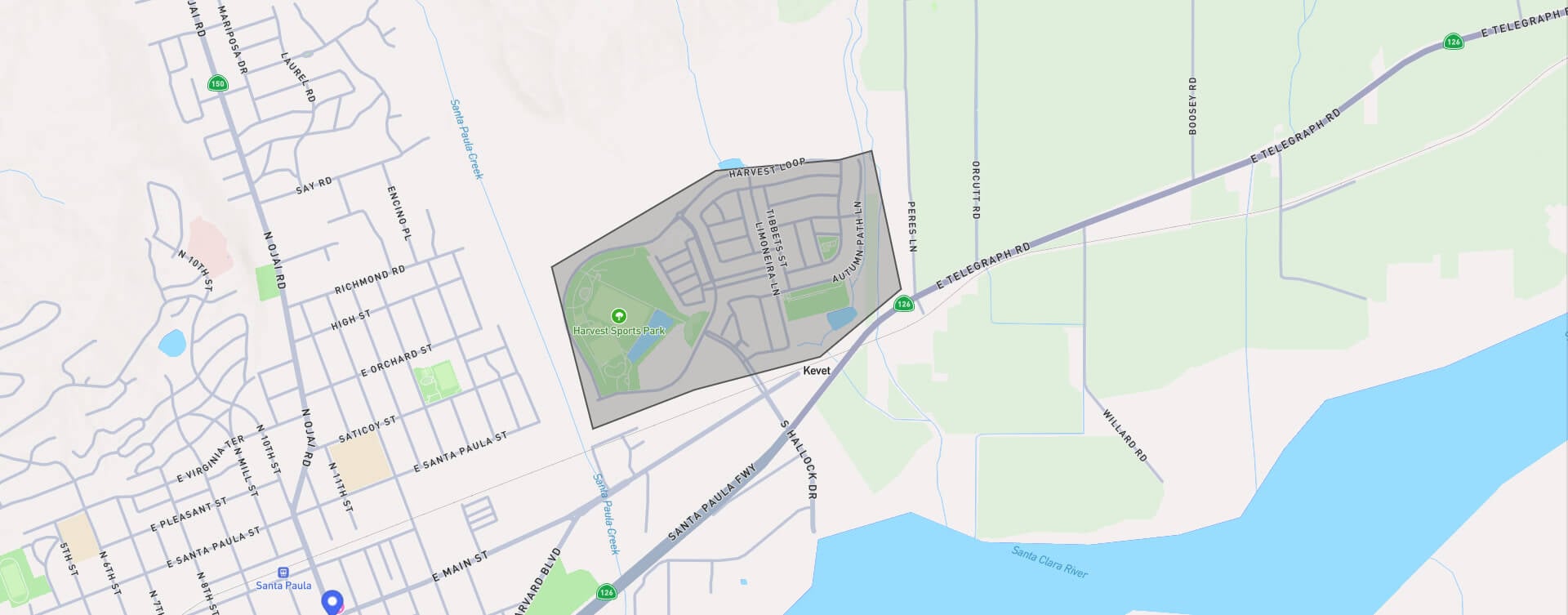 Harvest-at-Limoneira