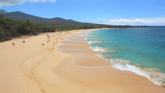 Beach-Hawaii