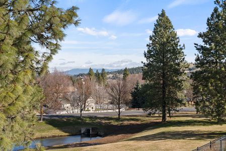 Inside-Spokane-Birkdale-15.4