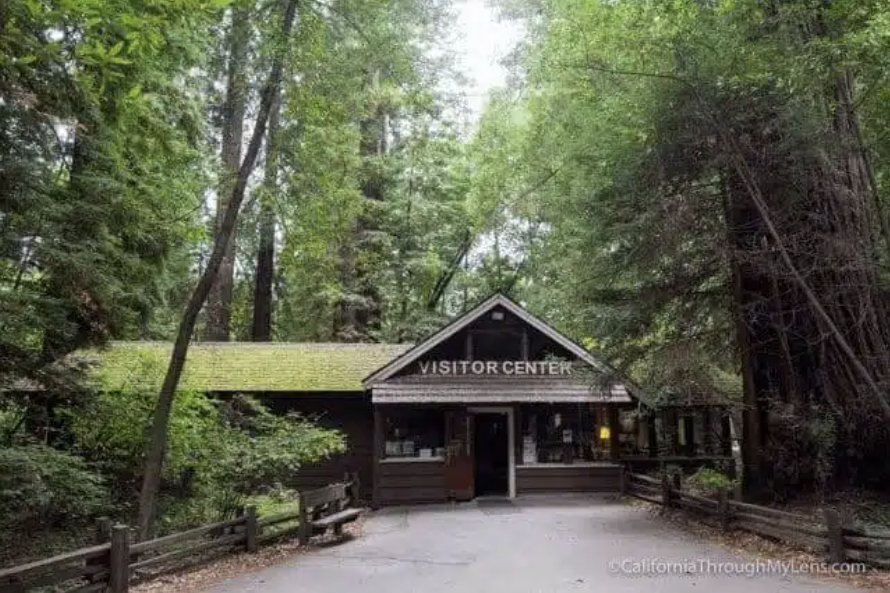 Screenshot 2025-01-09 at 3.01.27 AM