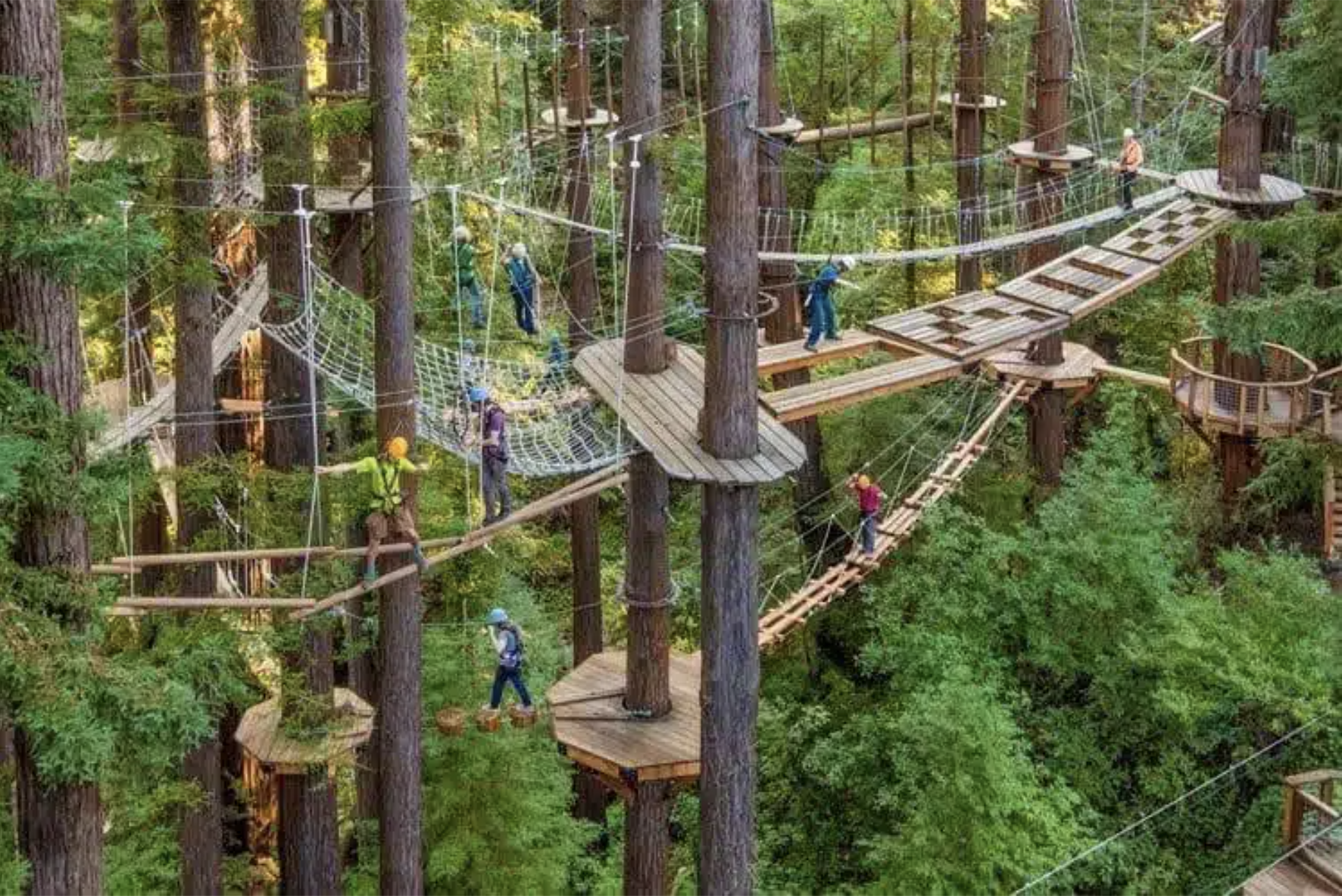 Screenshot 2025-01-09 at 3.01.44 AM